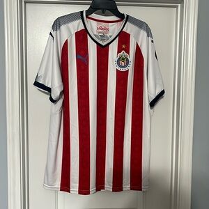 Sport T-shirt for men brand puma